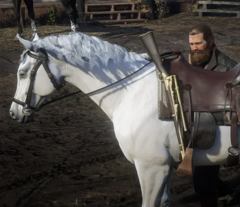 The White Arabian Horse